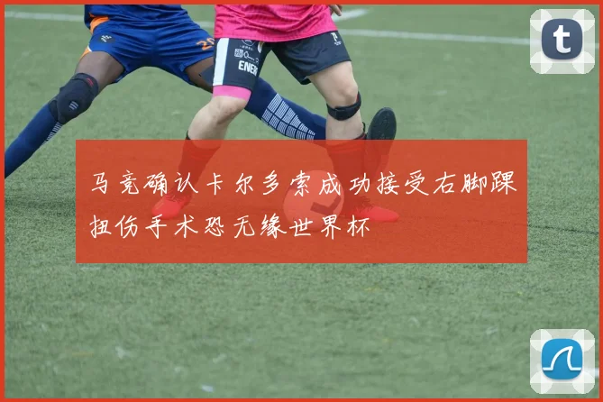 马竞确认卡尔多索成功接受右脚踝扭伤手术恐无缘世界杯